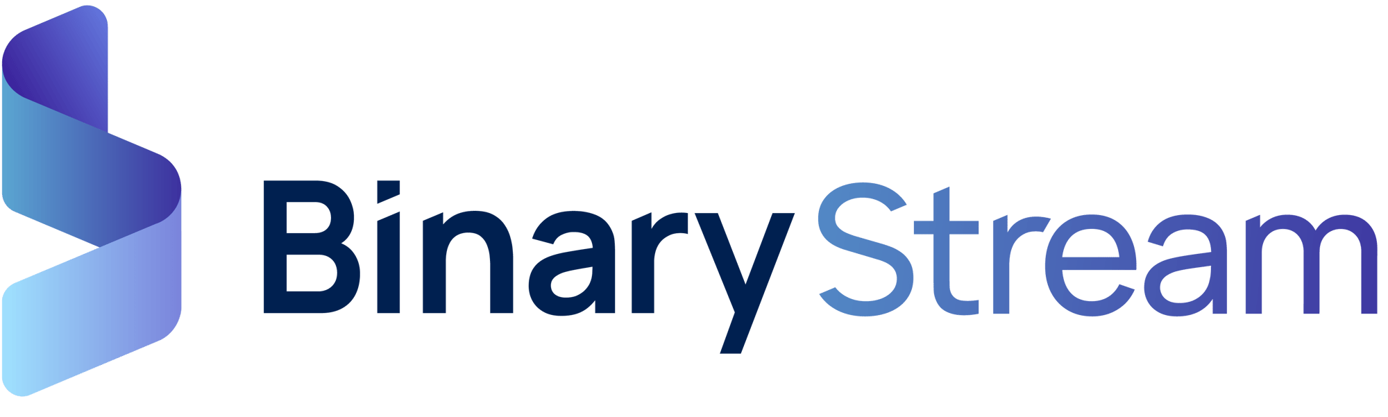 Binary_Stream_Brandmark_Main