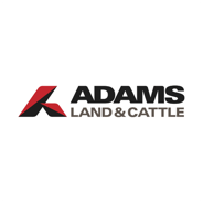 Adams Land & Cattle Elimina las Hojas de Cálculo Vinculadas Con Solver