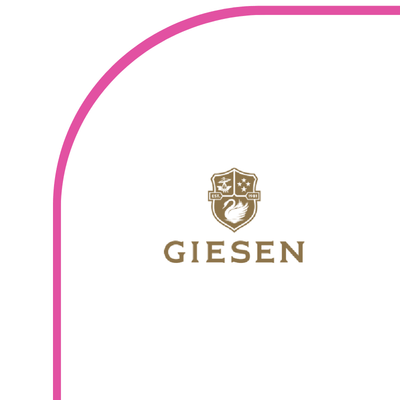 Giesen Group_Case Study