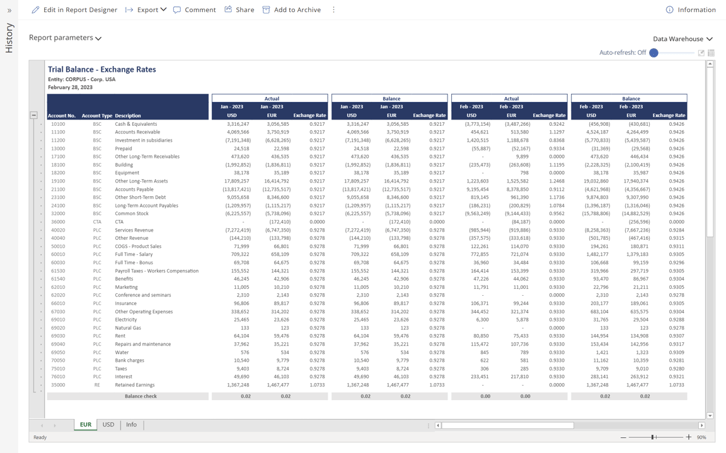 RC015 - Trial Balance (variance CY vs LY) – Multi-tab