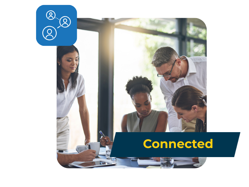 Illustrate Company Data Through Collaboration
