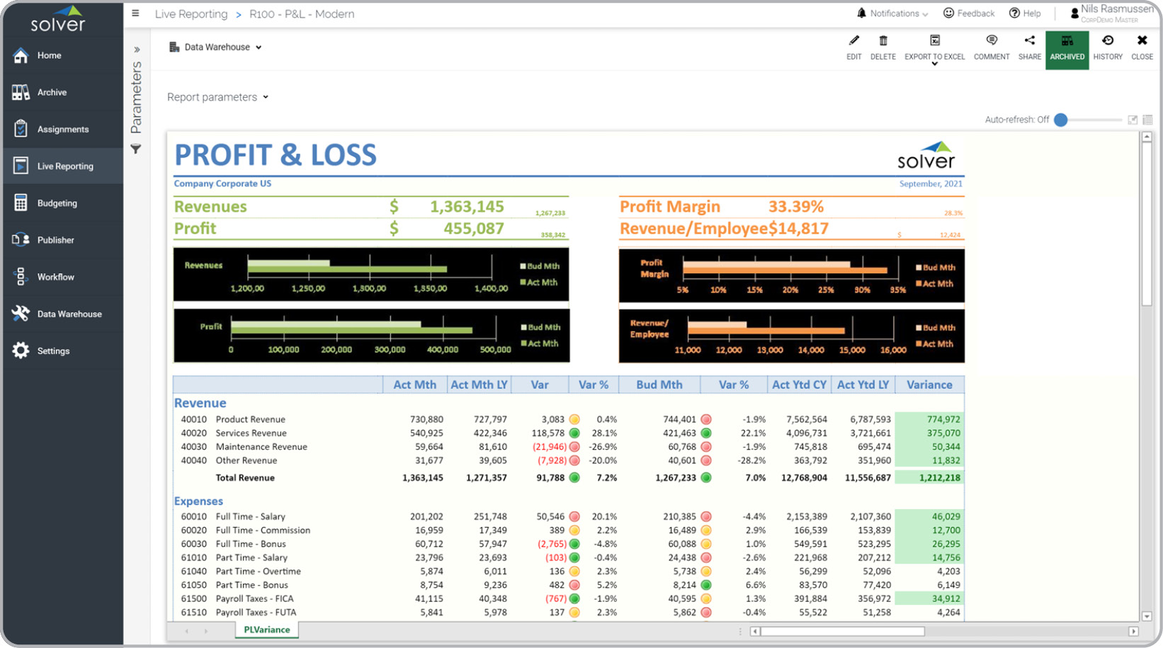 Profit & Loss Report with Charts and Modern Layout Example