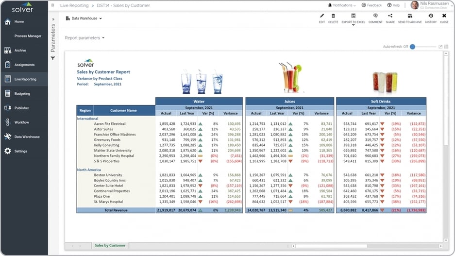 Example of a Sales by Customer Report for a Distribution Company 