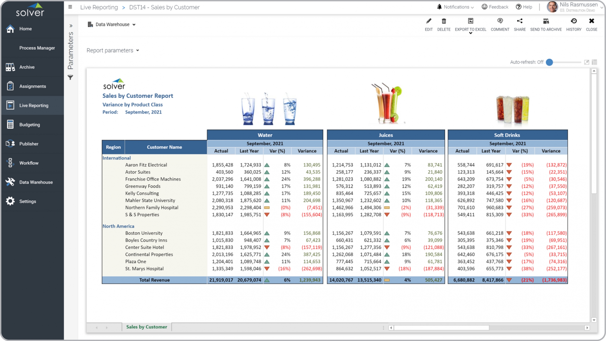 Example of a Sales by Customer Report for a Distribution Company 