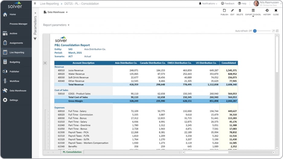 Example of a Profit & Loss Consolidation Report for a Distribution Company 
