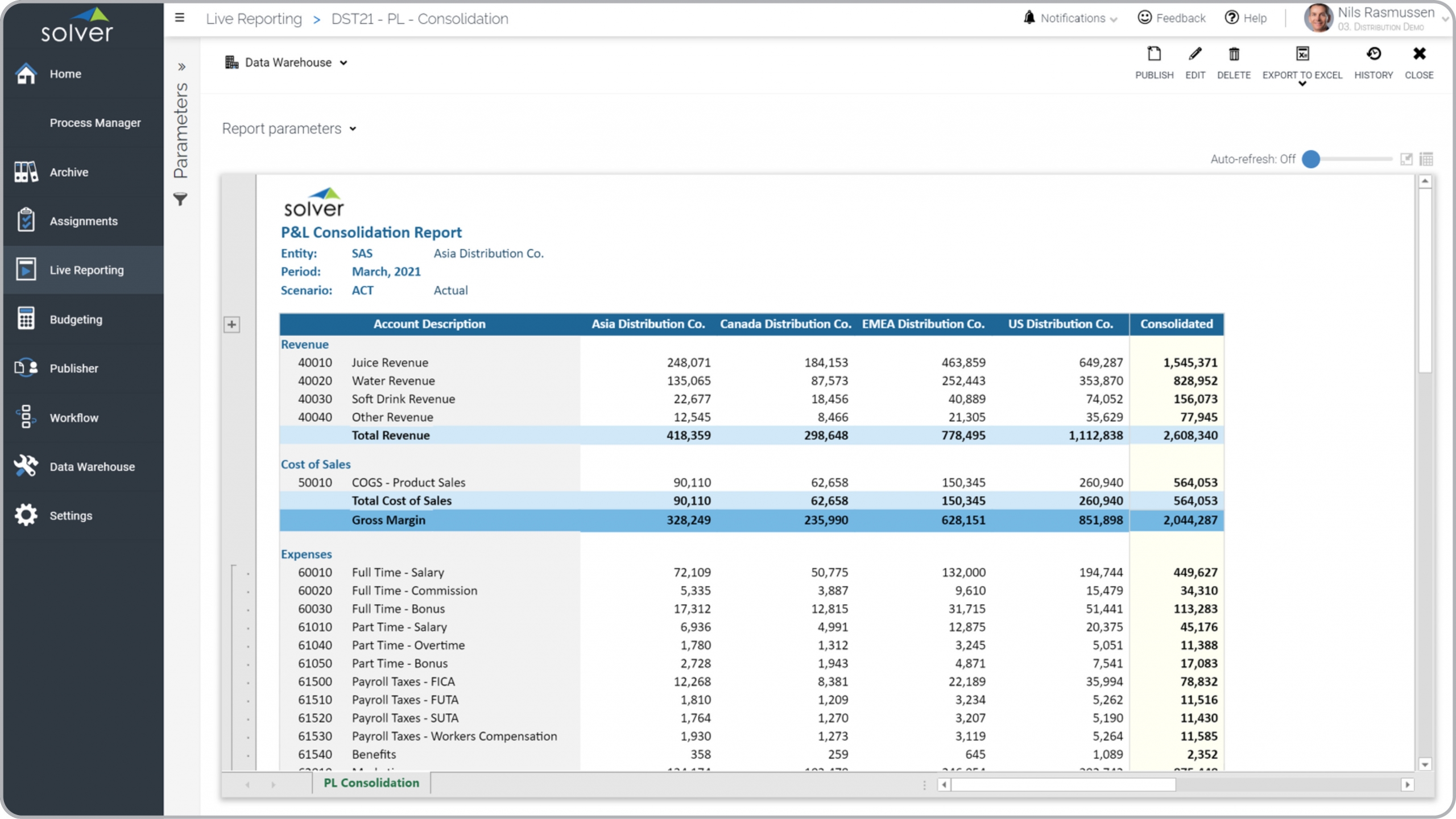 Example of a Profit & Loss Consolidation Report for a Distribution Company 