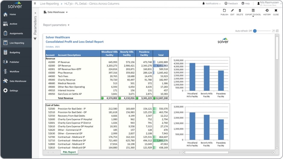 Consolidated Profit & Loss Report for a Healthcare Provider 