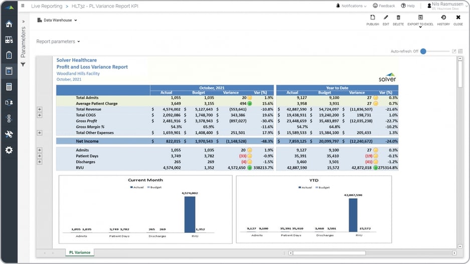 Example of a Profit & Loss Report with KPIs for a Healthcare Provider 