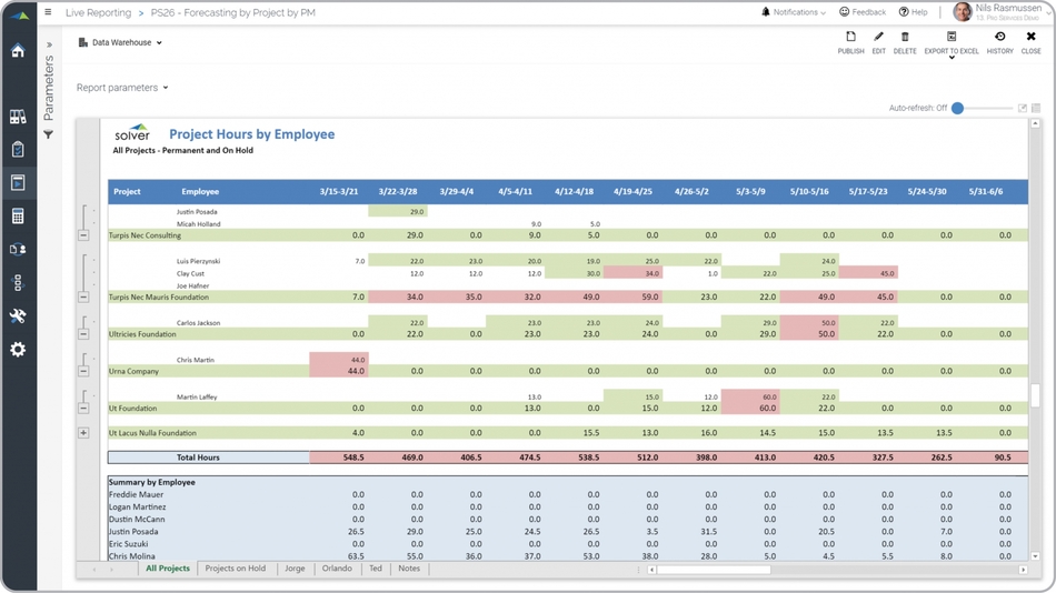 Example of a Project Hours by Consultant Report for Professional Service Companies  