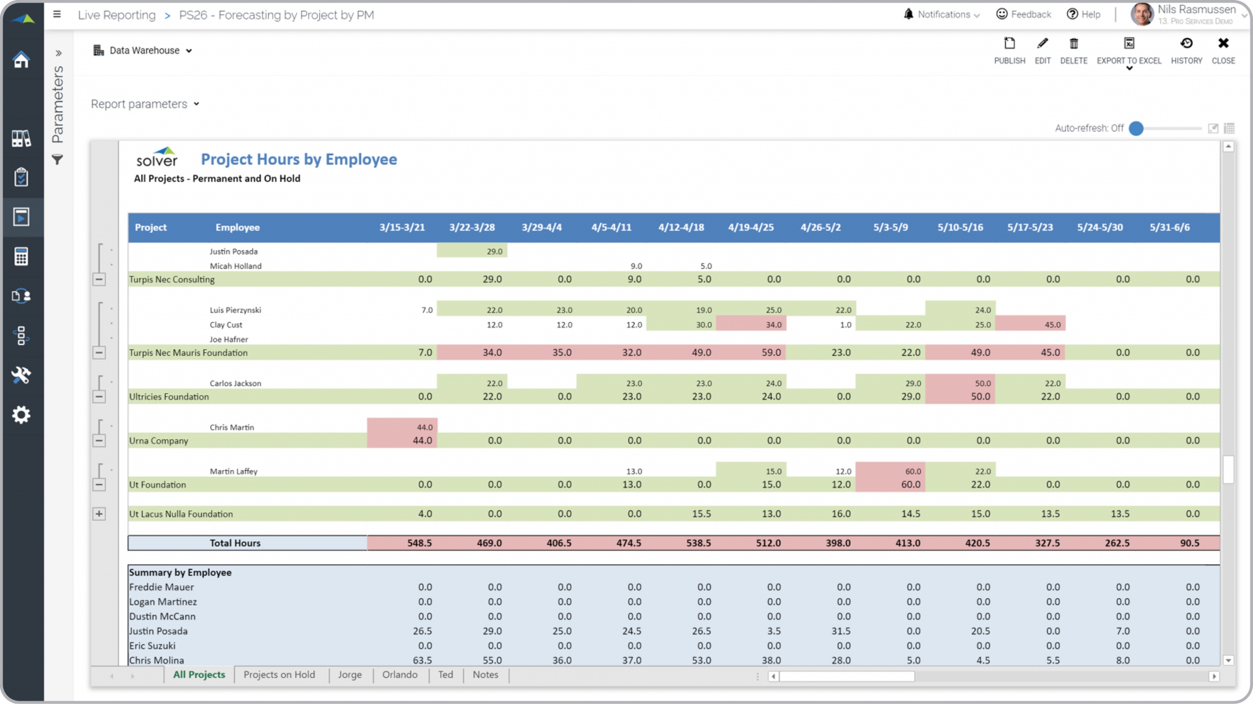 Example of a Project Hours by Consultant Report for Professional Service Companies  