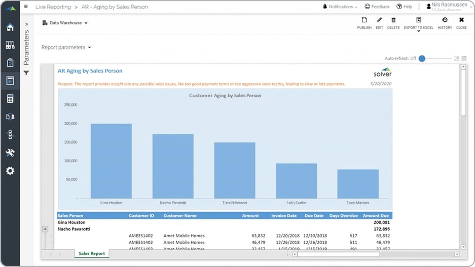 Customer Receivables Aging by Sales Person Report Example  