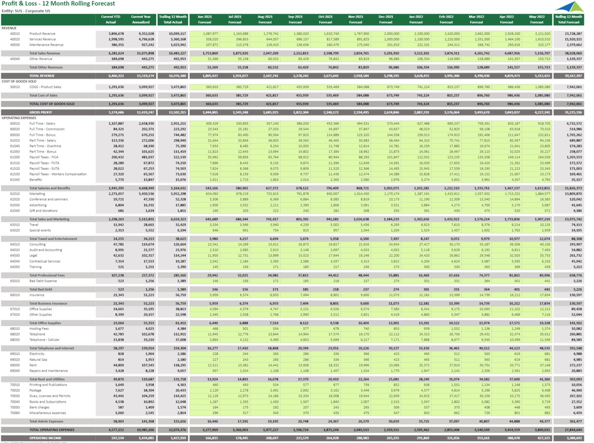 Example of a 12 Month Rolling P&L Forecast to Streamline the Forecasting Process