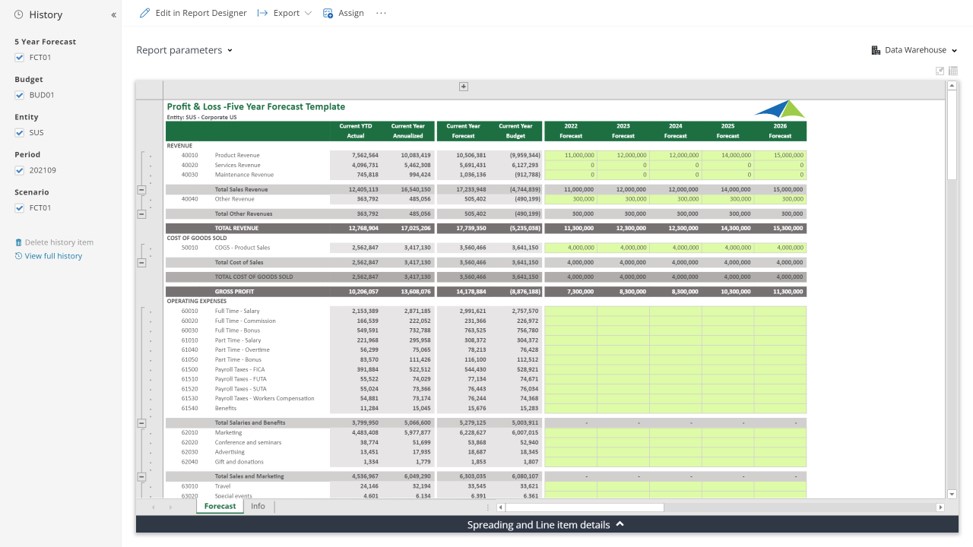 Example of a 5 Year P&L Forecast to Streamline the Forecasting Process