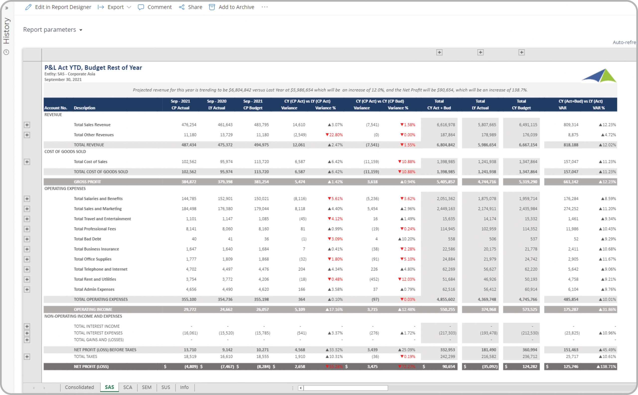 Example of a P&L Consolidation Report with Breakdown by Company to Streamline the Monthly Consolidation and Reporting Process