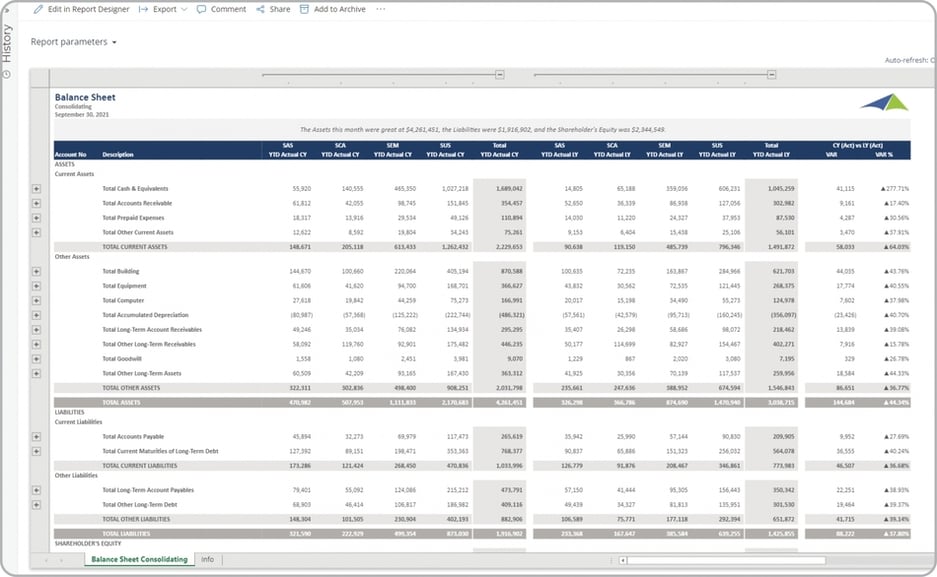 Example of a Consolidating Balance Sheet Report to Streamline the Monthly Reporting Process