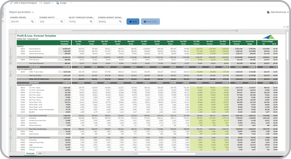 Example of a Profit & Loss Forecast Input Template to Streamline the Forecasting Process
