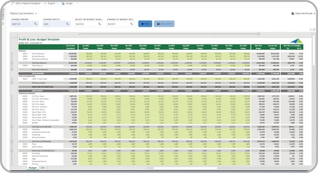 Example of a P&L Budget Input Form to Streamline the Annual Budgeting Process