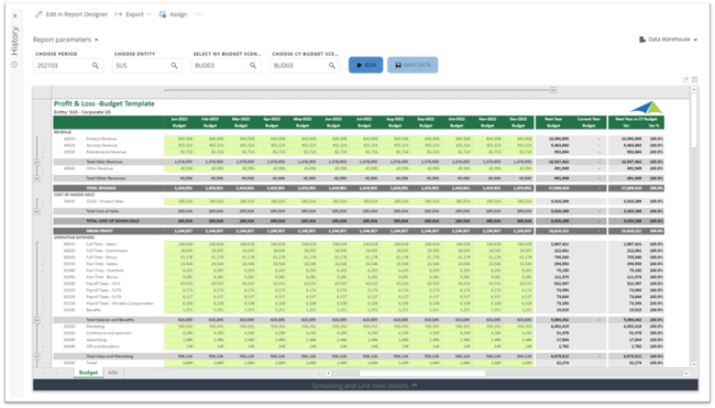 Solver - Annual budget input form for Sage Intacct
