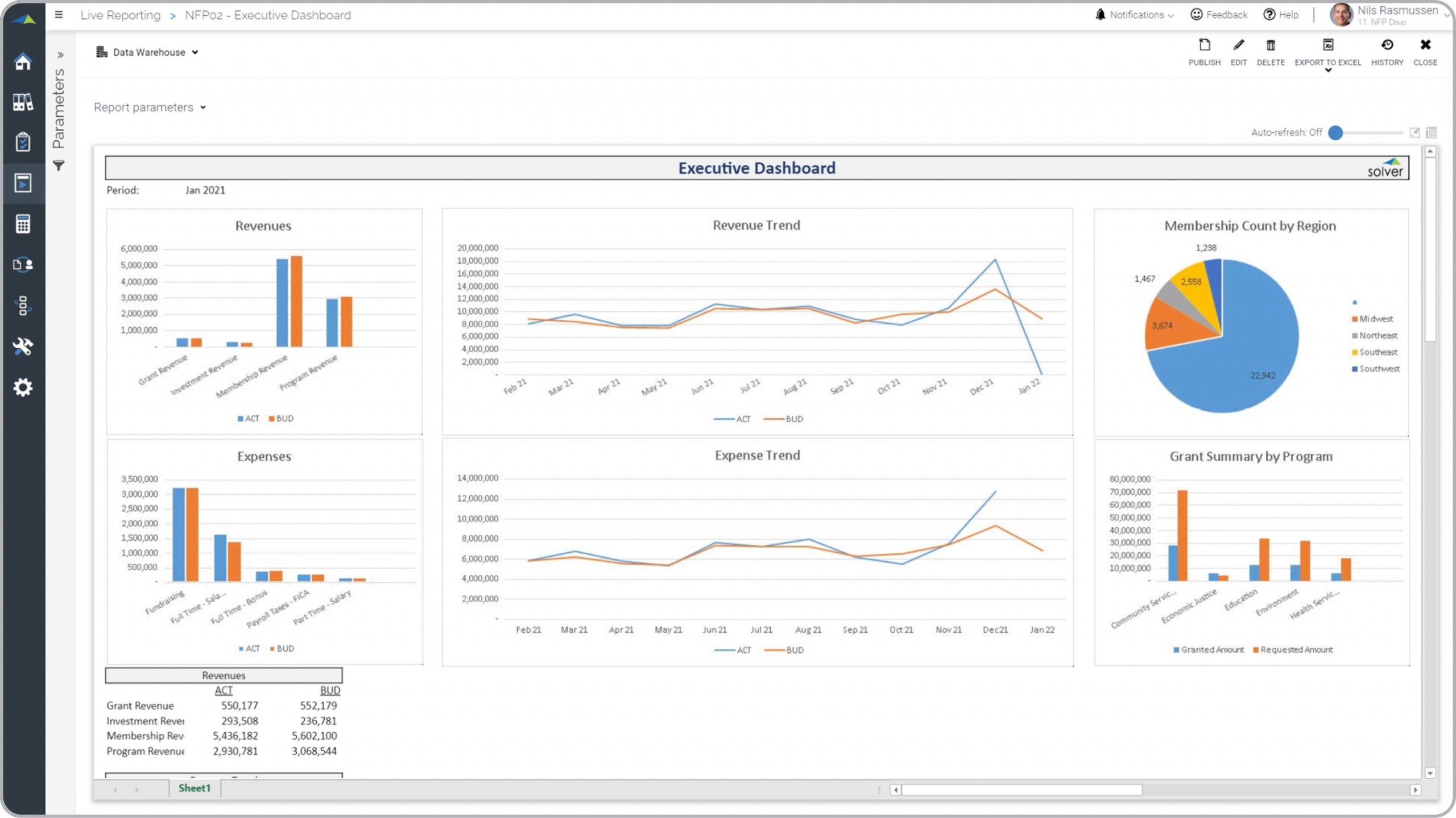 Executive Dashboard Example for a Nonprofit Organization