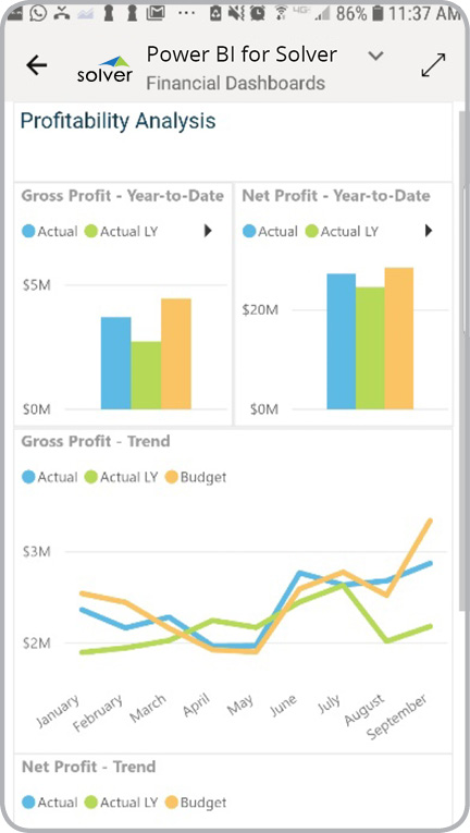Shows profit and margin KPIs on mobile app.