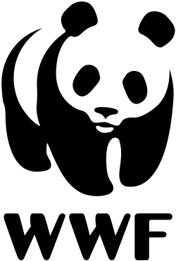 solver icon